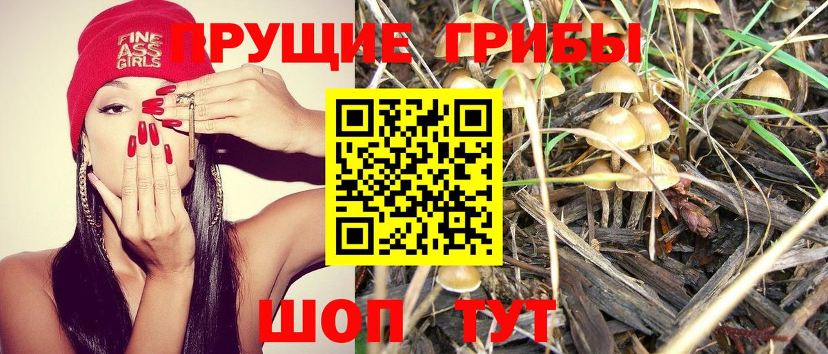 Галлюциногенные грибы MAGIC MUSHROOMS Тюмень