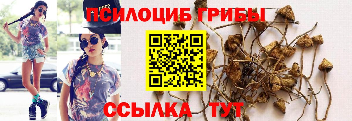 Галлюциногенные грибы Psilocybe  Вход с VPN  Тюмень 